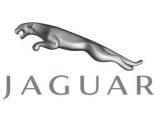 Jaguar para cosmética